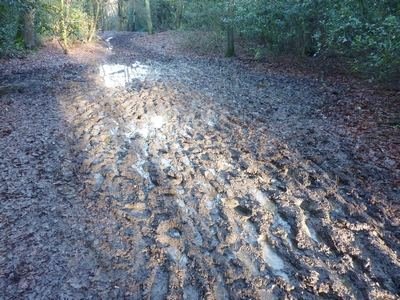 Mud on the Butts